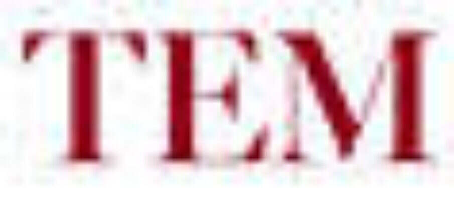 LeTemps